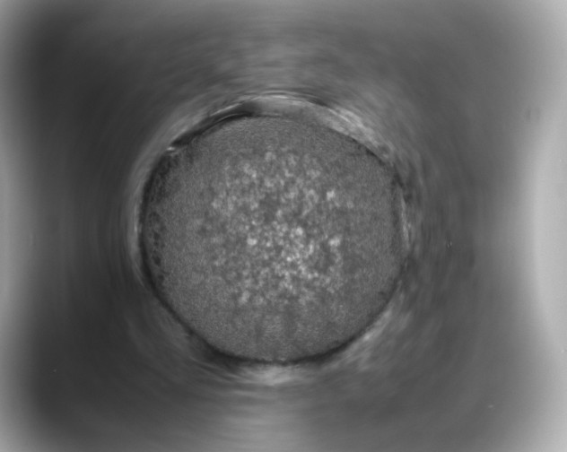 X0000088420293200706051216