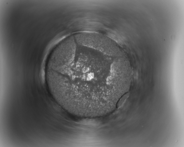 X0000088420294200706051216