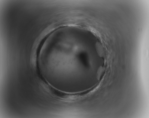 X0000088420295200706051216