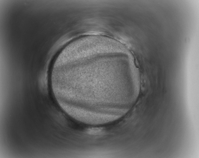 X0000088420296200706051216