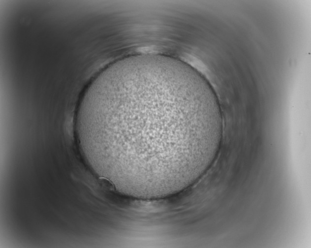 X0000088420297200706051216