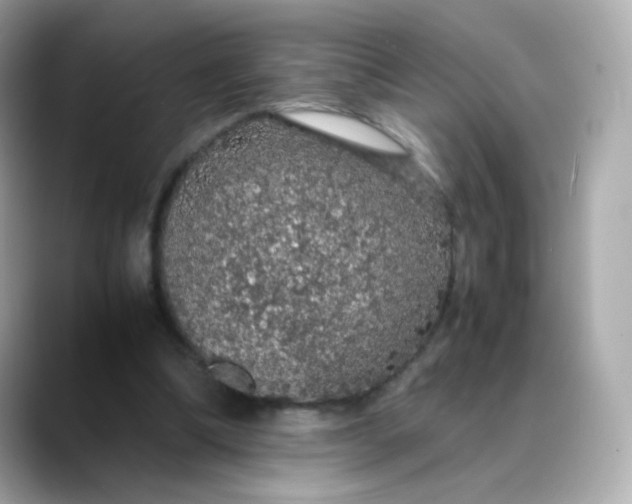 X0000088420298200706051216