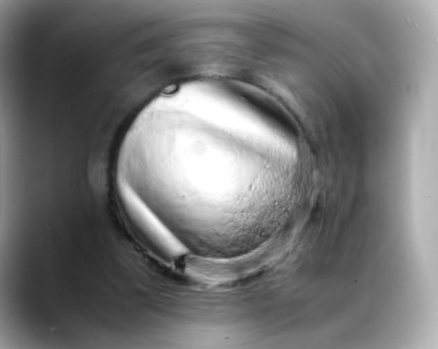 X0000088420299200706051216