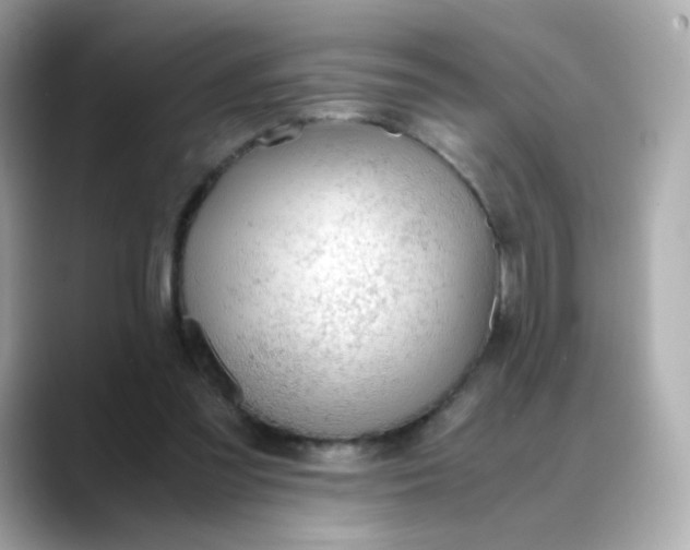 X0000088420301200706051216