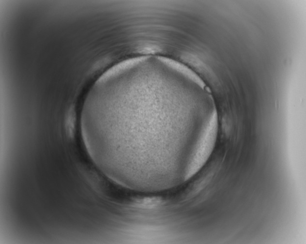 X0000088420304200706051216