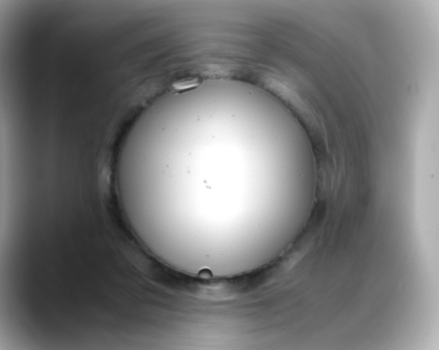 X0000088420309200706051216