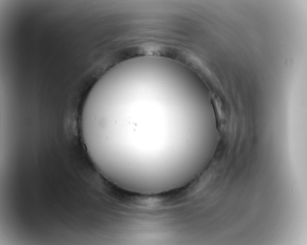 X0000088420313200706051216