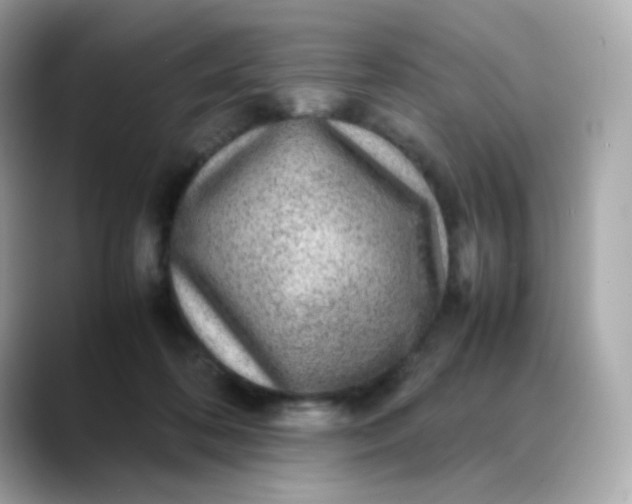 X0000088420316200706051216