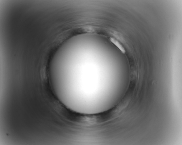 X0000088420317200706051216
