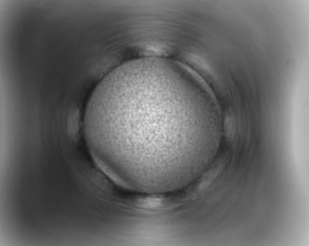 X0000088420318200706051216
