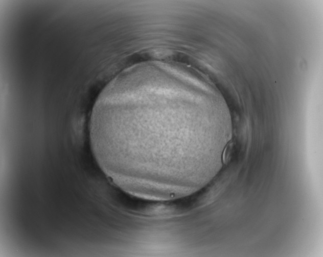 X0000088420319200706051216