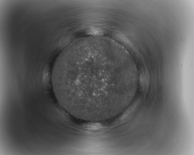 X0000088420322200706051216