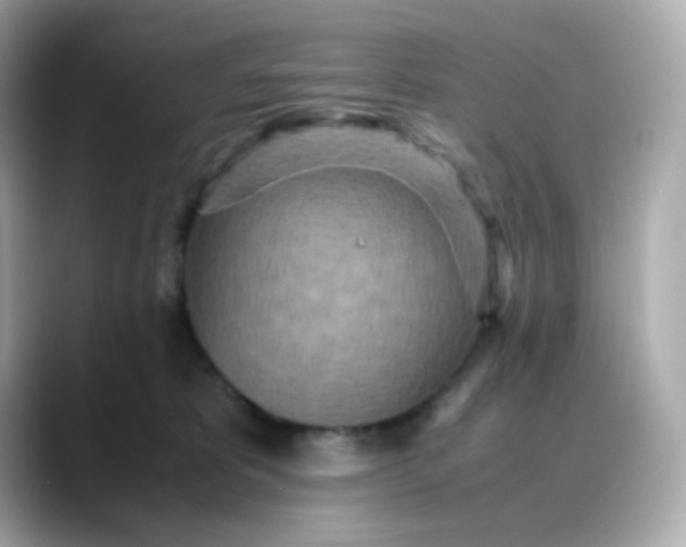 X0000088420325200706051216