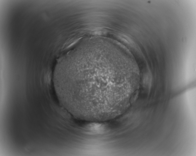 X0000088420326200706051216