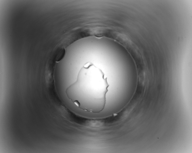 X0000088420327200706051216