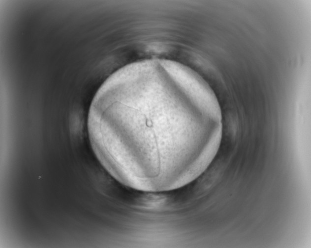 X0000088420328200706051216