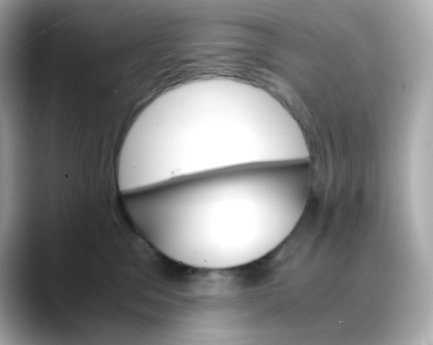 X0000088420329200706051216