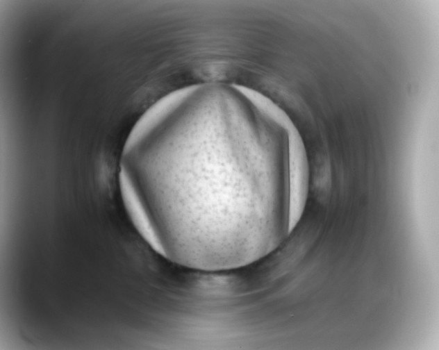 X0000088420332200706051216