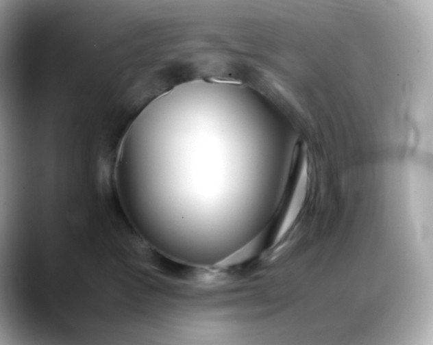X0000088420333200706051216