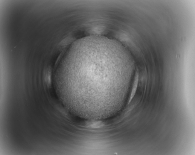 X0000088420334200706051216