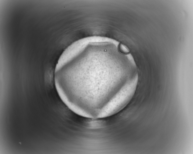 X0000088420336200706051216