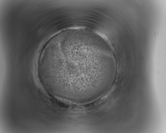 X0000088420337200706051215