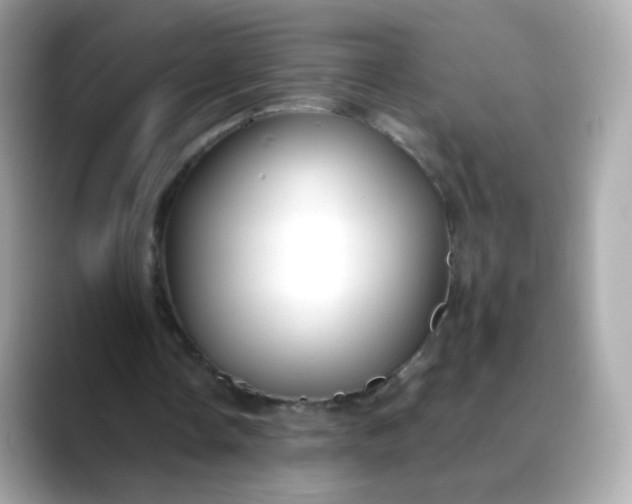 X0000088420338200706051215