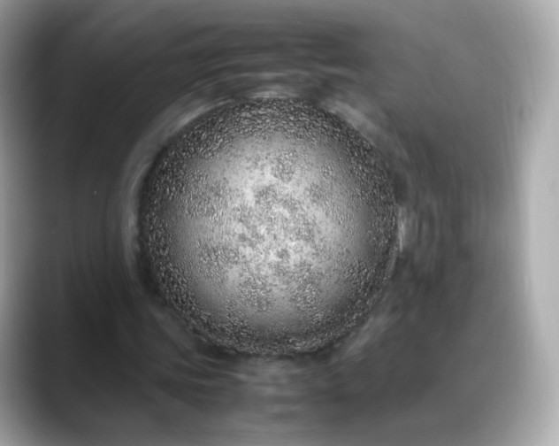 X0000088420339200706051215