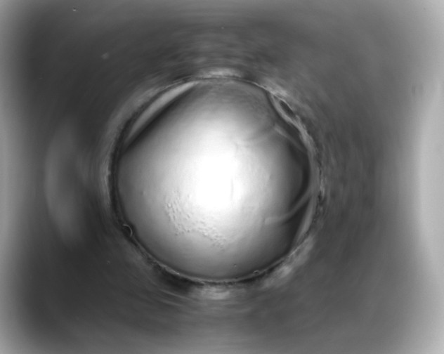 X0000088420341200706051215