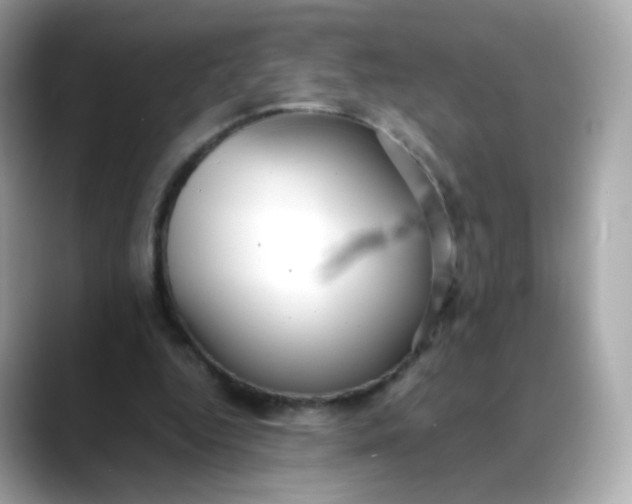 X0000088420344200706051215