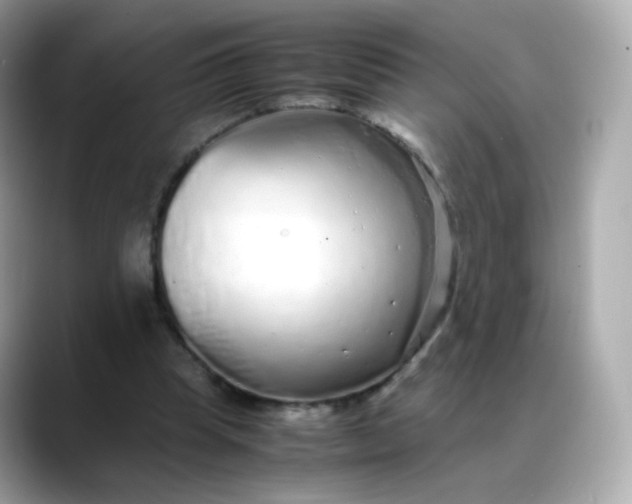 X0000088420345200706051215