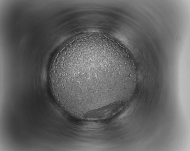 X0000088420347200706051215