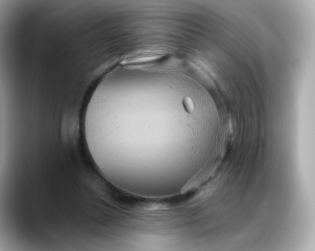 X0000088420348200706051215