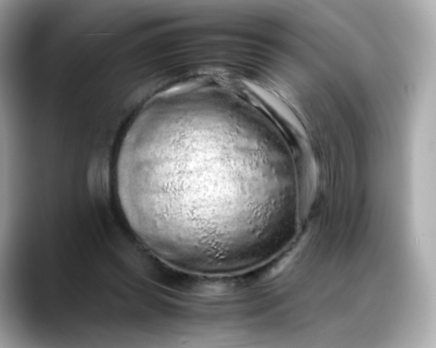 X0000088420349200706051216