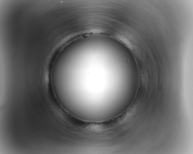 X0000088420350200706051216