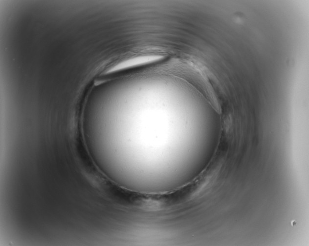 X0000088420352200706051216