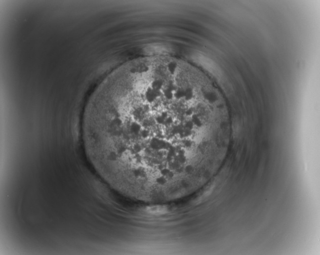 X0000088420353200706051216