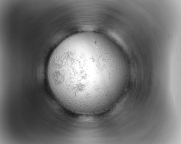 X0000088420354200706051216
