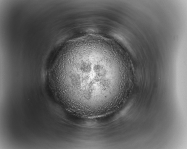 X0000088420355200706051216