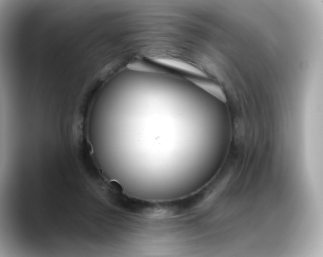 X0000088420356200706051216