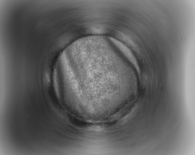 X0000088420358200706051216