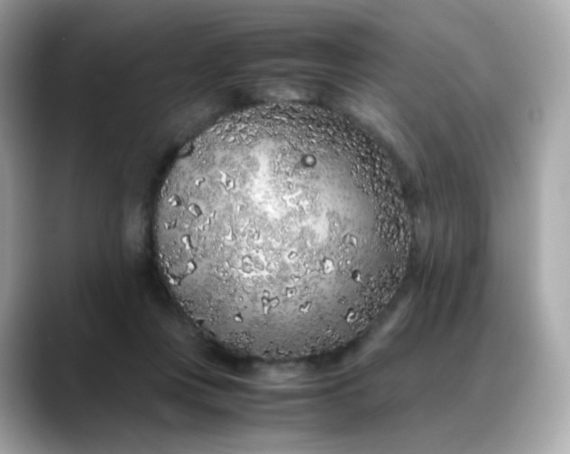 X0000088420359200706051216