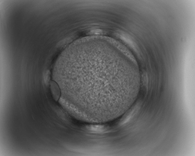 X0000088420361200706051216