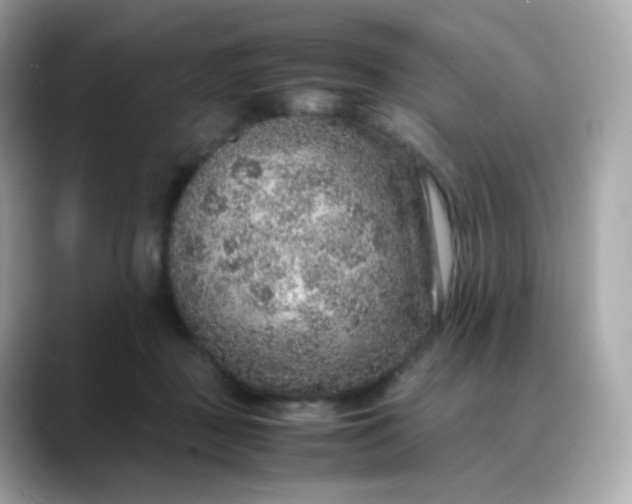 X0000088420363200706051216