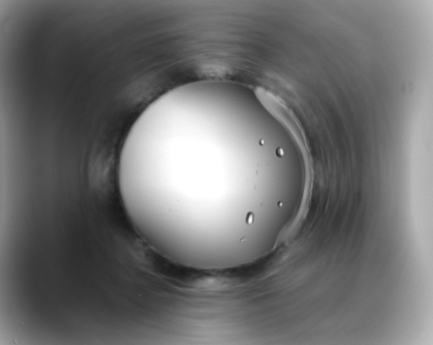 X0000088420364200706051216
