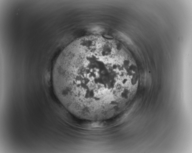 X0000088420365200706051216