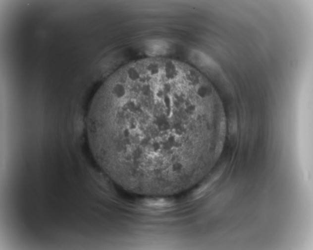 X0000088420367200706051216