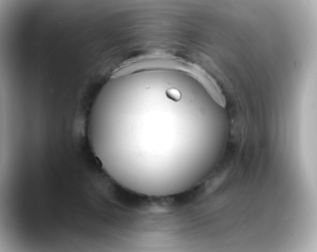 X0000088420368200706051216