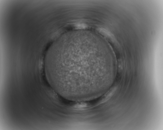 X0000088420369200706051216