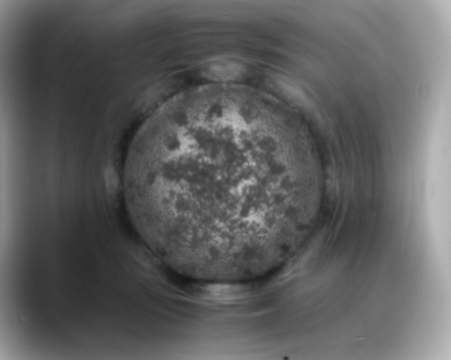 X0000088420371200706051216